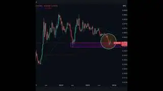 Monday Morning Analysis 