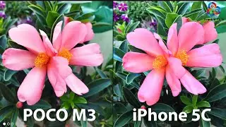 POCO M3 vs iPhone 5C CAMERA TEST. CAN IT COMPETE?