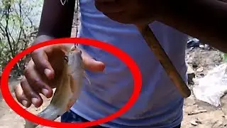 Country Fishing Video | Catching Country Fish From Pond Using Hook | Trout Fishing
