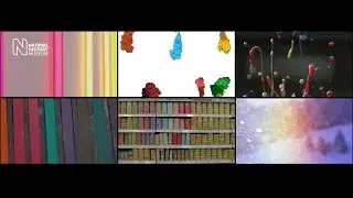Art and science reflections on colour and vision | Natural History Museum