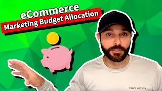 eCommerce Marketing Budget Allocation