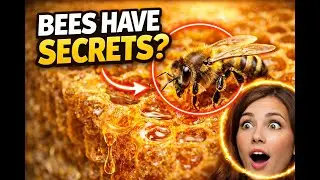 🐝 The Secret World of Bees 🍯 | Watch till the End 🌍✨🌻#facts #viral  #BeeFacts #NatureFacts #Wildlife
