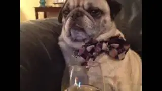 A Day in the Life of 