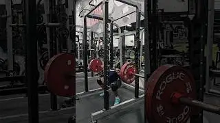 374lb Squat x 5 (170kg) #powerlifting #weightlifting #strengthtraining #shorts