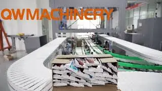 Chocolate Stick Ice Cream Packaging Video, Robot Packaging Application For Cold Environment