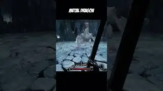 Titanium Wyvern #gaming #darkanddarkergameplay