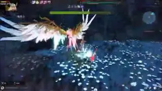Vindictus einrach spear lann regina (no hit)