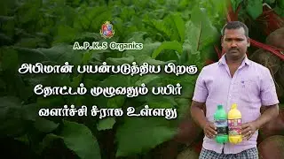 [ TAMIL ]  Offline Beetroot Farmer Mr. Balamurugan from Tirupur Shares His Results!