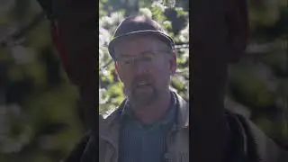 Farm Succession:  Young Energy Revitalizing Land for the Future