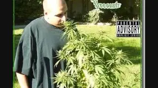 TOWN SHIT  GLOOMY SMOKES FEAT LIL CREEPER