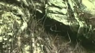 Three Main Rocks and the Rock Cycle   YouTube