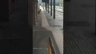 Cellole stazione