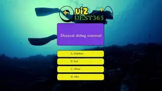 Quiz Quest 365: Episode 8 - Wild About Animals! Can You Ace Our Beastly Quiz?
