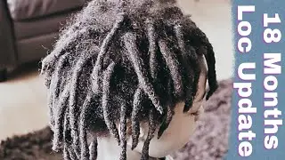 TWO STRAND TWIST STARTER LOCS: 18 MONTHS LOC UPDATE {KIESHA ARIELLE}