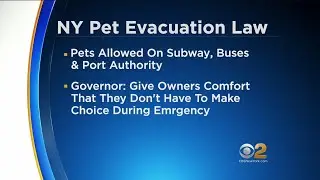 New York Signs New Pet Evacuation Law