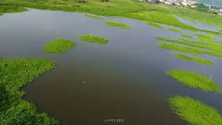 DJI Mini 2 - Using it in FPV Mode - Surprising Result