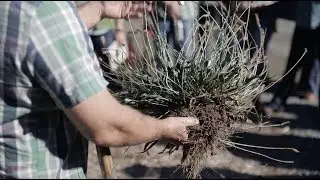 Carbon Farming: Agriculture&rsquo;s Answer to Climate Change | Bioneers