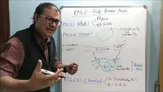 Gut-Brain Axis