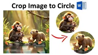 How to Crop Image to Circle Shape In MS Word