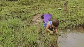 🌟 A Miracle Encounter: Single Mother and Two Children Meet a Giant Bottle Snail 🐌💫 🩷