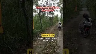 Tanah murah di Playen Gunungkidul #propertyjogja #tanahdijual #tanahmurahjogja #tanahgunungkidul