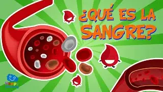 &iquest;QU&Eacute; ES LA SANGRE? &iquest;PARA QU&Eacute; SIRVE? 🩸❔ | V&iacute;deos Educativos para Ni&ntilde;os