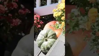 Simple Outdoor Decor for the Fall