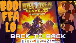 Buffalo Gold: Back to Back Machine All the way bet...