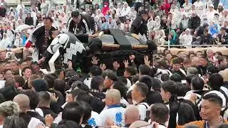 【喧嘩】【乱闘】大喧嘩勃発でガチギレ！松山秋祭り2024道後本宮 道後村大神輿 vs 持田連合大神輿会 道後鉢合わせ喧嘩神輿