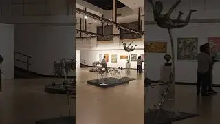 South Mumbai jahangir art gallery #mumbai #shorts #contemporaryart