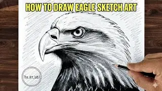 How To Drow Eagle Sketch Art Step By Step Full Video #drawing #sketch #pencilsketch #art#artist#art 
