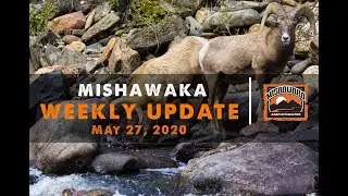 Mishawaka Weekly Update Ep 5 (May 27, 2020)
