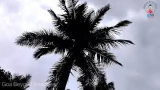 Goa Beyond Beaches - Nature Walk, Trek, travel, scenery, green initiatives