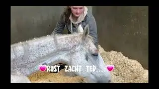 Rust Zacht Ted... (Edit Voor Kristy Snepvangers) *Pluto Fleur*