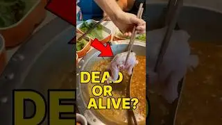Top 5 Animals That Can Survive Deadly Situations😱🦎