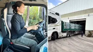 Female Truck Driver Tian Na: Aluminum Profile Loading, Factory Pickup, and Delivery Journey