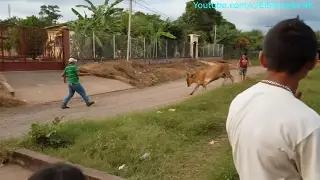 La Vaca Loca - Sosegaron a la Stefany. Vendiendo Tamales. Parte 3/4