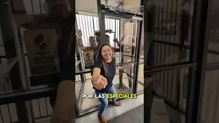 Viengan y visitenos 🤣🤣🤣