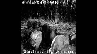 Bilskirnir - The Cosmic Source
