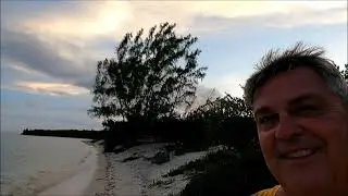 Where Sea Turtles Hatch and go to Sea