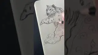 Snow Leopard 🐆 #sketch #sketchbook #pencilart #drawing #snowleopard #artist #shorts