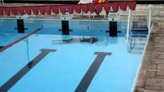 Junior Machado - Personal Trainer - Treinamento de Guarda-Vidas - Apn&eacute;ia Est&aacute;tica + Din&acirc;mica