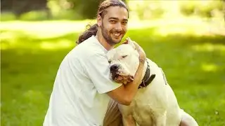 Animal Trainers Career Video