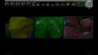 Full Screen Edit View iphoto Tutorial