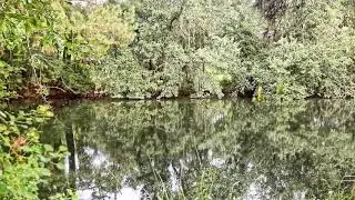 Marsh Front Lots Savannah GA   Four Lots all 1 Acre Plus Upland
