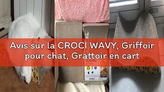 Avis sur la CROCI WAVY, Griffoir pour chat, Grattoir en carton ondulé, Grattoir à chat avec herbe, F