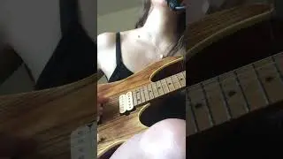 Dust in the wind &bull; Kansas (cover)