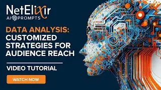 Data Analysis: Customized Strategies for Audience Reach Video Tutorial
