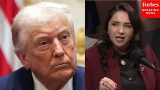 'The Hypocrisy Is Suffocating': Delia Ramirez Goes Nuclear On Trump Over Venezuela Threats