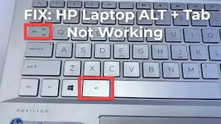 ИСПРАВЛЕНИЕ: сочетание клавиш ALT + Tab на ноутбуке HP не работает в Windows 10
